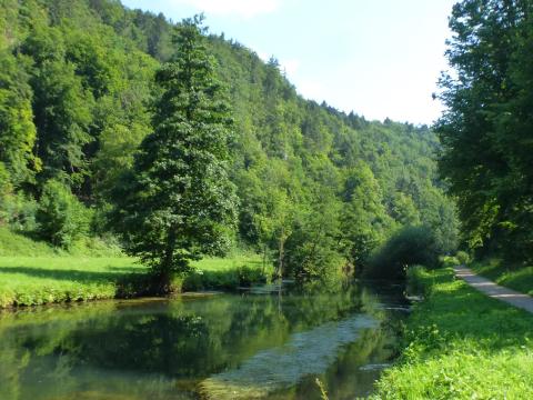 Fluss Pegnitz mit Waldpanorama im Hintergrund
