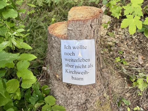 Baumstumpf mit Aufschrift