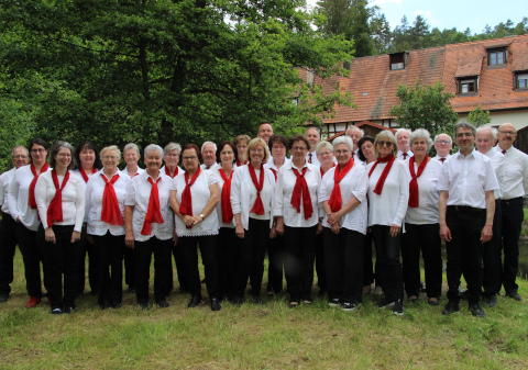 Die Chorgemeinschaft Velden als Gruppenfoto